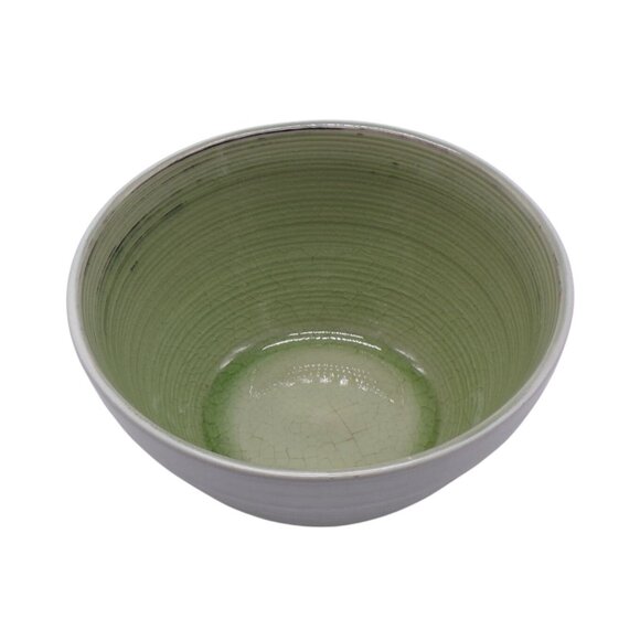 Pier 1 Imports Hand Painted Stoneware Crackle Midori Green Soup Cereal Bowl 6" - Picture 3 of 6